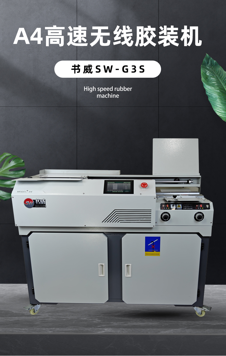 G3S01.jpg