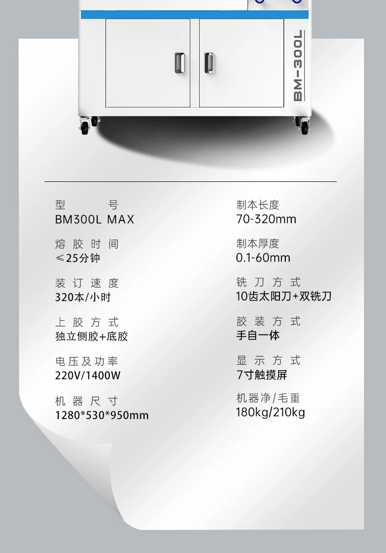 300Lmax8.jpg
